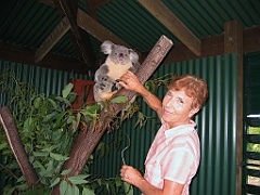 125 Port Douglas Wildlife Habitat